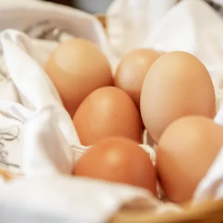 Διαμέρισμα Garni Enzian Ζόλντεν